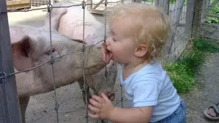 приколы смешные, смешные приколы под музыку!!!!!