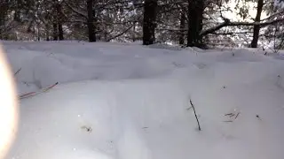 Чистим снег.