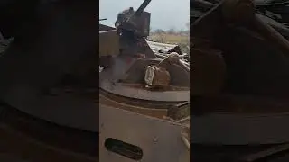 был мтлб