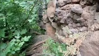 THE GOLAN HEIGHTS
