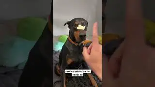 Cheese time 