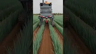 #naturelovers #trees #plants #crops #farminglife #farming #farm #gardening #gardeningtips