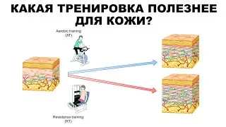 КАКАЯ ТРЕНИРОВКА ПОЛЕЗНЕЕ ДЛЯ КОЖИ?