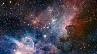 The video about nothing