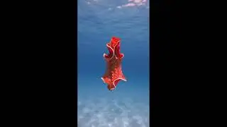 Awesome and Cute Animal Videos! #16