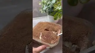 Тирамису. tiramisu