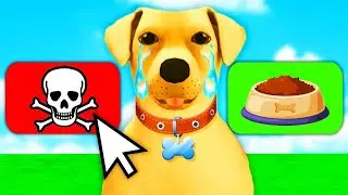 WORST DOG EVER!!