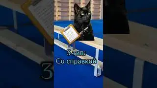 Какой тип вы? Я 3 😂 #мем #мемныекоты #котики #вреееек #мой_день #подишись