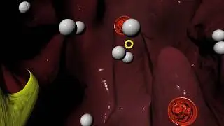Beta Blockers for Hypertension (high blood pressure), Arrhythmias (irregular heartbeat)