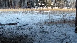 Новые правила охоты. Приравнивание к охоте.