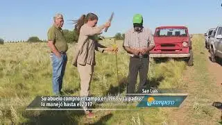 Un campo familiar con buena estrella