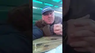 Це пизда