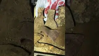 Это ШМУРДЯК или НАХОДКА?