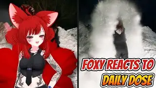 Foxy Reacts to Daily Dose of Internet!
