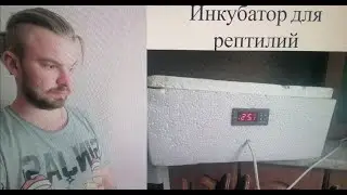 Инкубатор Для Рептилий