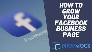 DropMock: How To Grow Your Facebook Business Page