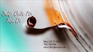 Thắp Đuốc Lên Mà Đi