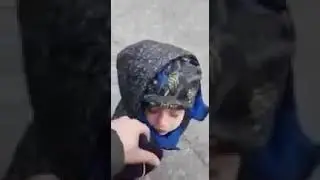 Менты подгребут