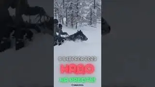 9 ФЕВРАЛЯ 23 года  еду на работу .
