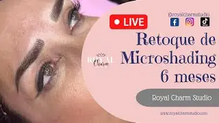 Retoque de 6 meses - Microshading (microblading+shading)