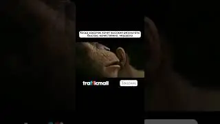 Так и хочется сказать заказчику #юмор #маркетинг