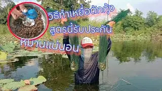 ดักกุ้งพร้อมสูตรเหยื่อเด็ด รับประกันมาแน่นอน ep.594