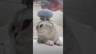 Прикольно