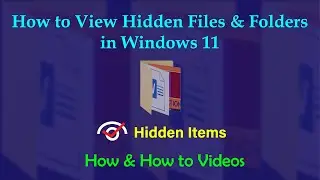 How to View Hidden Files in Windows 11 | How to Find Hidden Folders in Windows 11 | How to Videos