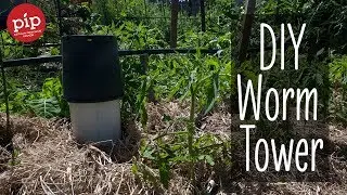 Make A Worm Farm - Easy How To #PipTips #1