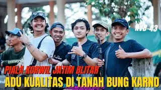 PERTEMPURAN KONIN DI JAWA TIMUR- PIALA KORWIL JATIM❗️#kicauvlogbali #dewatasamudra #omahkonin