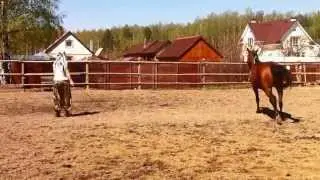 Нобейль и Максимова Юлия.