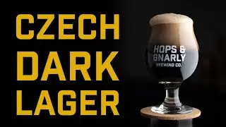 How to Brew a Czech Dark Lager | Brewtools B40 | EP43