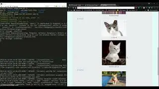 Image Posting Board App with Node, Express, MongoDB