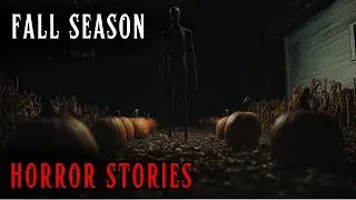 3 DISTURBING FALL HORROR STORIES!