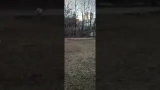 23 апреля 2023 г.