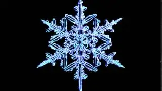 Футаж  Снежинки под микроскопом   Footage  Snowflakes under a microscope     000814
