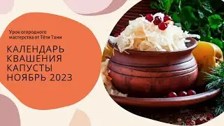 Календарь квашения капусты на ноябрь 2023 г.