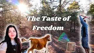 The Taste of Freedom! 🐮 | Homestead VLOG