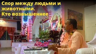 Спор между людьми и животными. Кто возвышеннее / БВ Мадхава Махарадж (22.11.2017, Джохор-Бару)