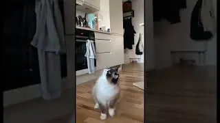 “Mow”