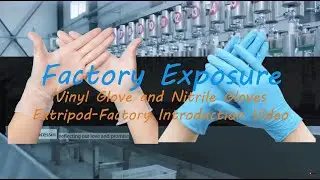 Extripod Nitrile Glove and Vinyl Glove Factory Introduce