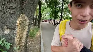 15 часовая смена в wolt на электровелосипеде. Сколько заработал?