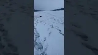 Отдых в Подмосковье. Рыбалка зимой на Оке.