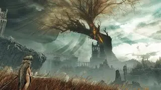 ELDEN RING DLC VIEWER RUN (HELP PLEASE)