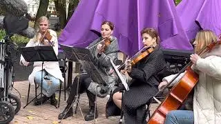 Музицируем в осеннем лесу🍂🎻