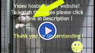 Smart Cat escape from Cage ( photos )