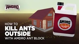 How to Kill Ants Outside with Amdro Ant Block
