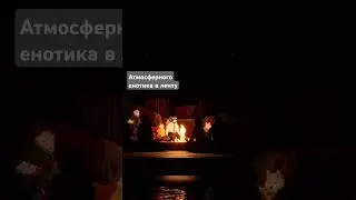 атмосферного енотика в ленту #tailsnoir #backbone #gaming #games #игры #рек #атмосфера #енот