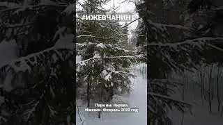 Ижевск, парк им. Кирова. Феврель 2022 год