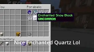 Catching a Scammer In Hypixel Skyblock